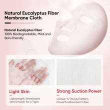 Load image into Gallery viewer, Inoherb Gentiana Repairing Freeze-dried Essence Mask | hebeloft