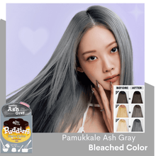 Load image into Gallery viewer, EZN Shaking Pudding Hair Colour Dye | hebeloft