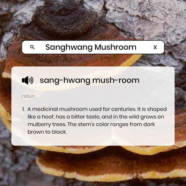 Sanghwang Mushroom