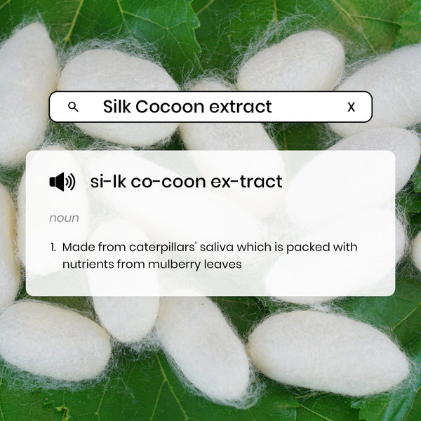 Silk Cocoon Extract