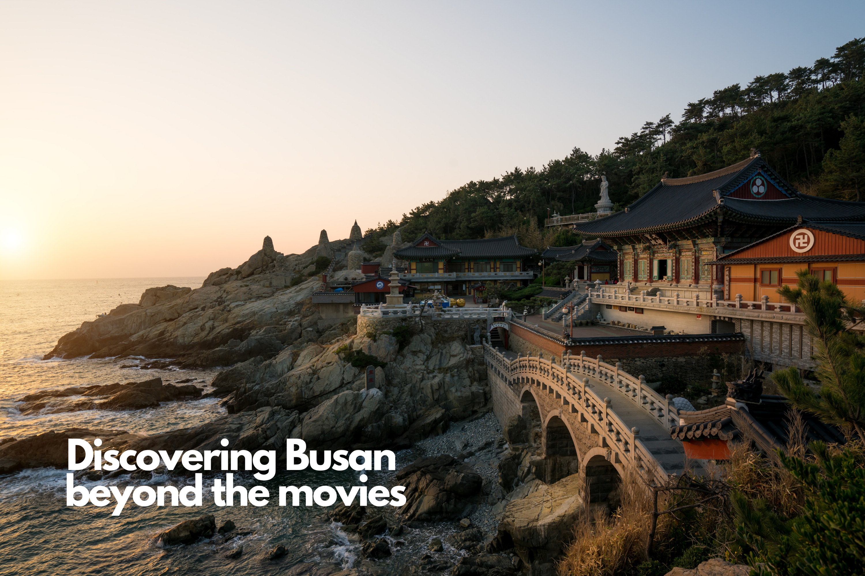 Discovering Busan Beyond The Movies