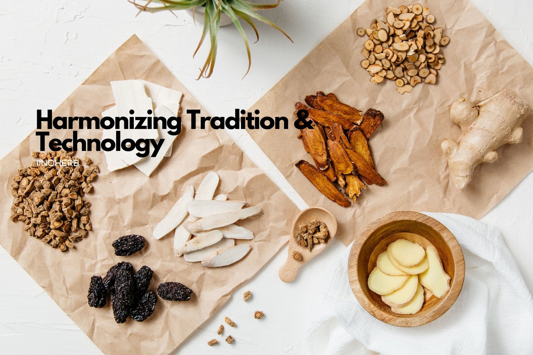 Harmonizing Tradition and Technology: Inoherb