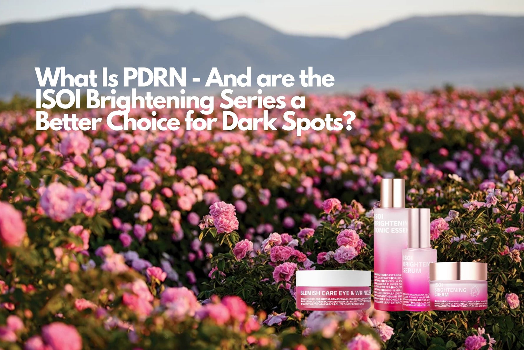 What Is PDRN - And Is ISOI Brightening Series a Better Choice for Dark Spots?