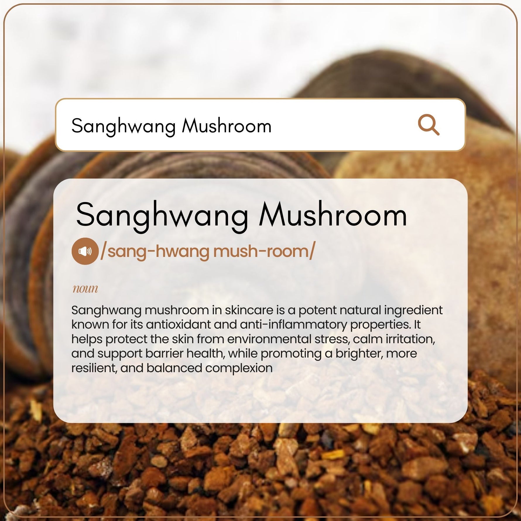 Sanghwang Mushroom