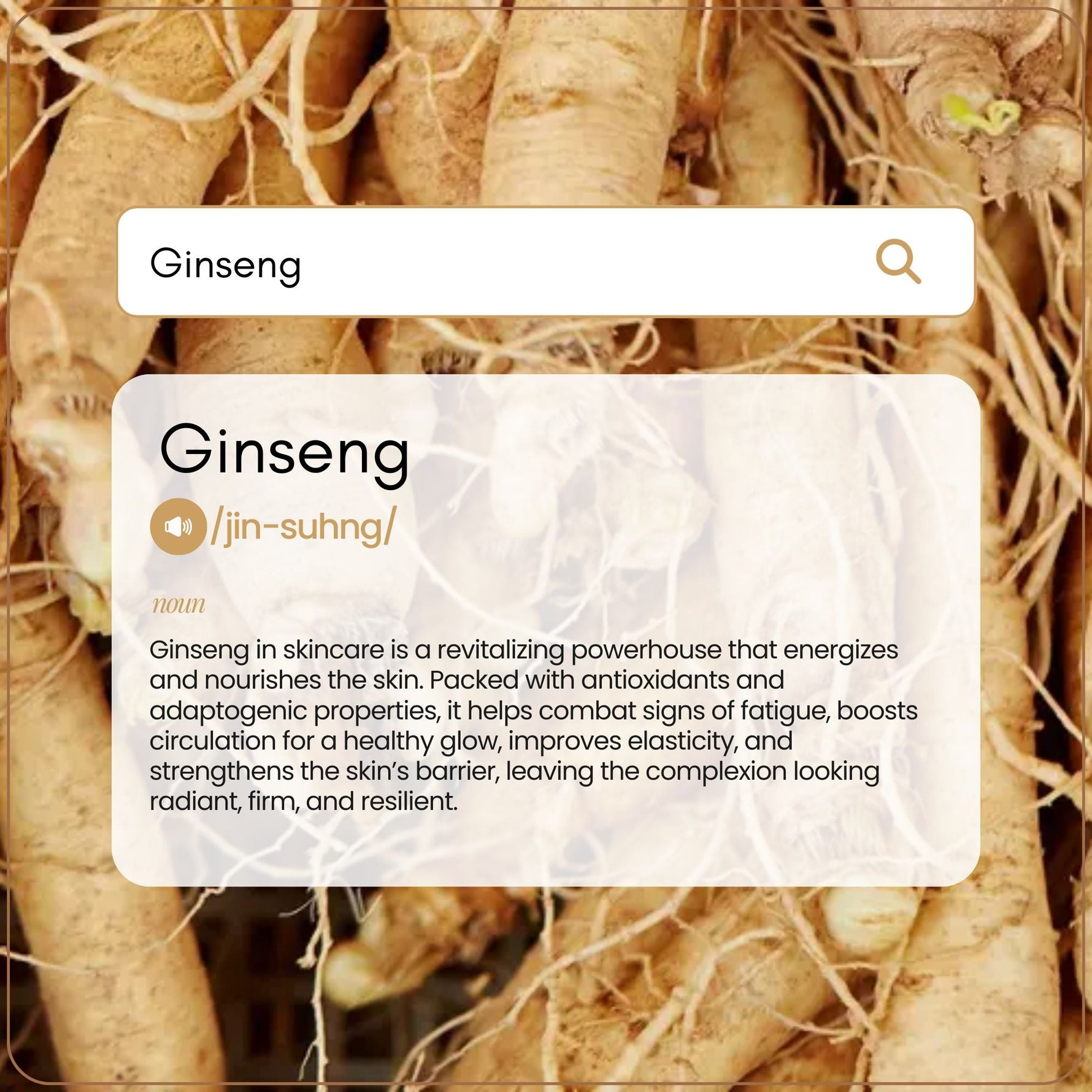Ginseng