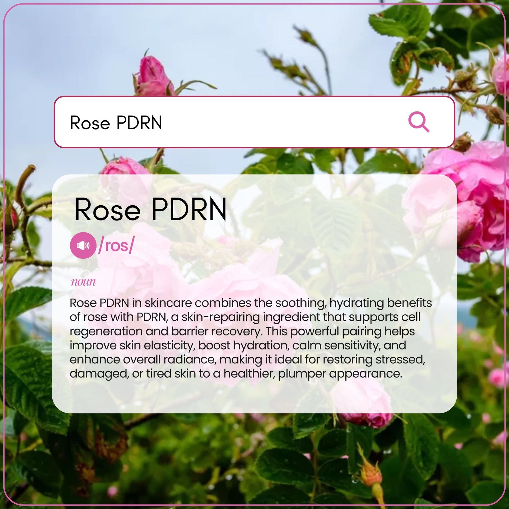 Rose PDRN