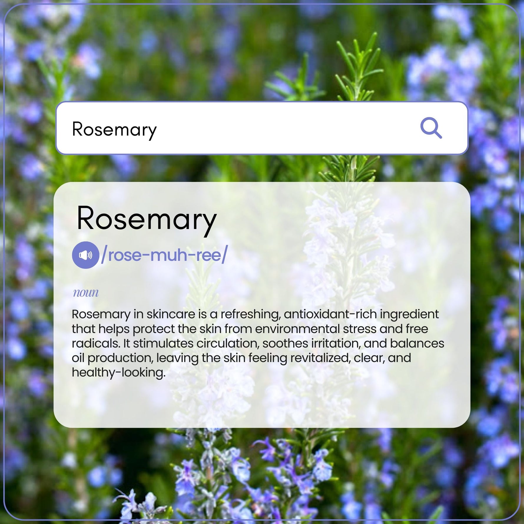 Rosemary