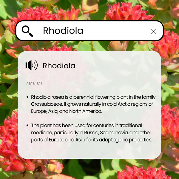 Rhodiola