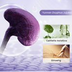 Inoherb Revitalizing Cleanser + Cream Set | hebeloft