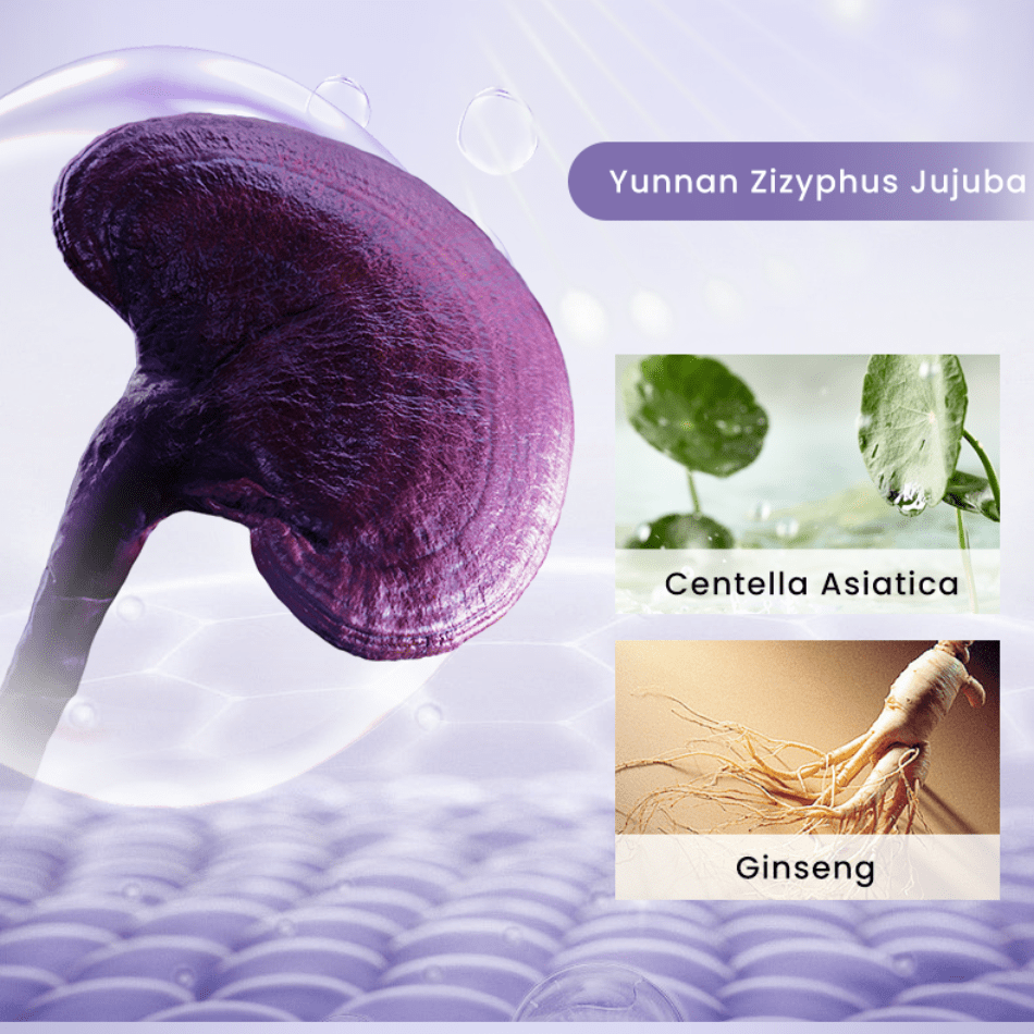 Inoherb Revitalizing Cleanser + Cream Set | hebeloft