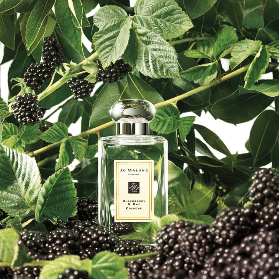 Jo Malone Blackberry & Bay EDC 100ml | hebeloft