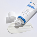 ROUND LAB Birch Juice Moisturizing Sunscreen | hebeloft