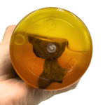 Skylake Premium Cool Shampoo And Herb Conditioner Set | hebeloft