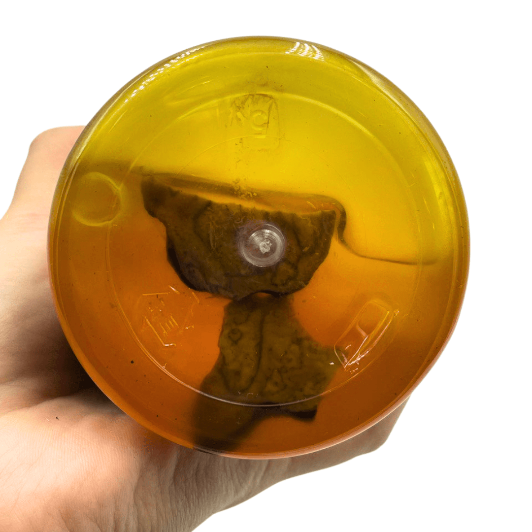 Skylake Premium Cool Shampoo And Herb Conditioner Set | hebeloft