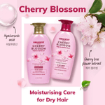 Organist Cherry Blossom Moisture Conditioner | hebeloft