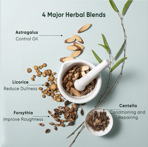 Inoherb Anti-Acne Facial Cleanser | hebeloft