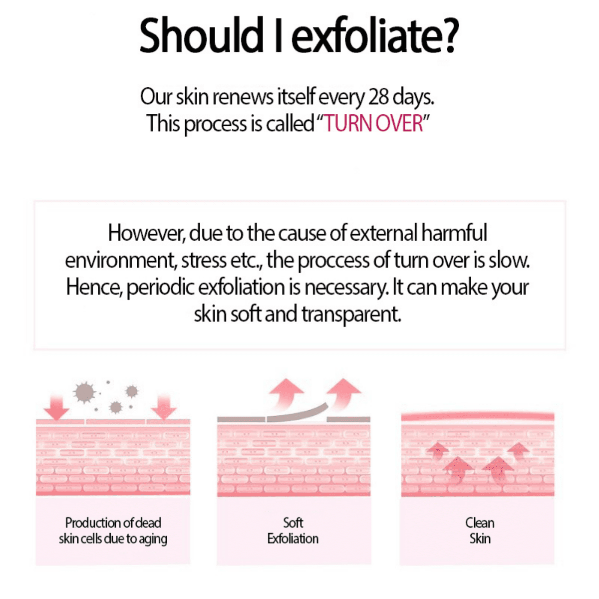 On The Body Veilment Natural Spa Black Rose Scrub Body Cleanser | hebeloft