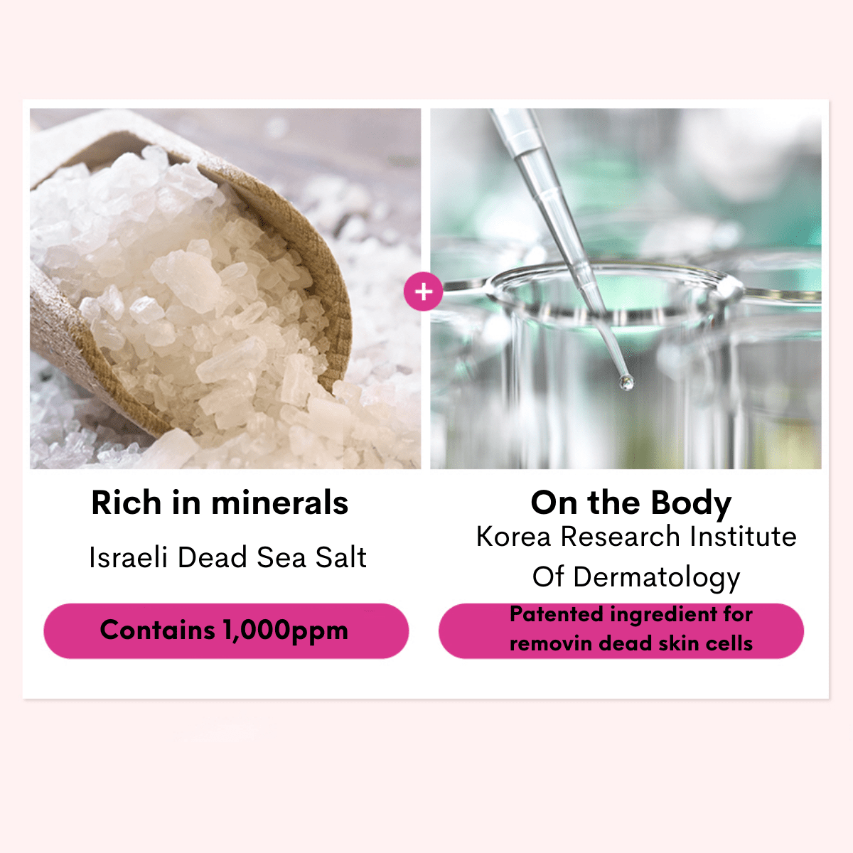 On The Body Veilment Natural Spa Black Rose Scrub Body Cleanser | hebeloft