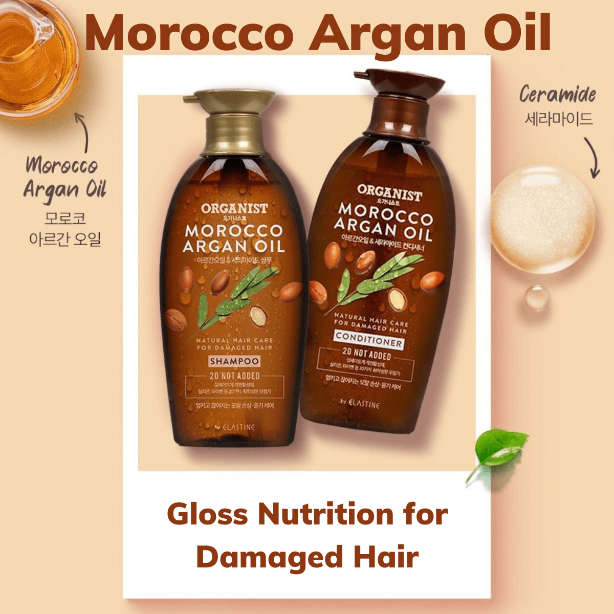 Organist Morocco Argan Oil Gloss Nutrition Conditioner | hebeloft