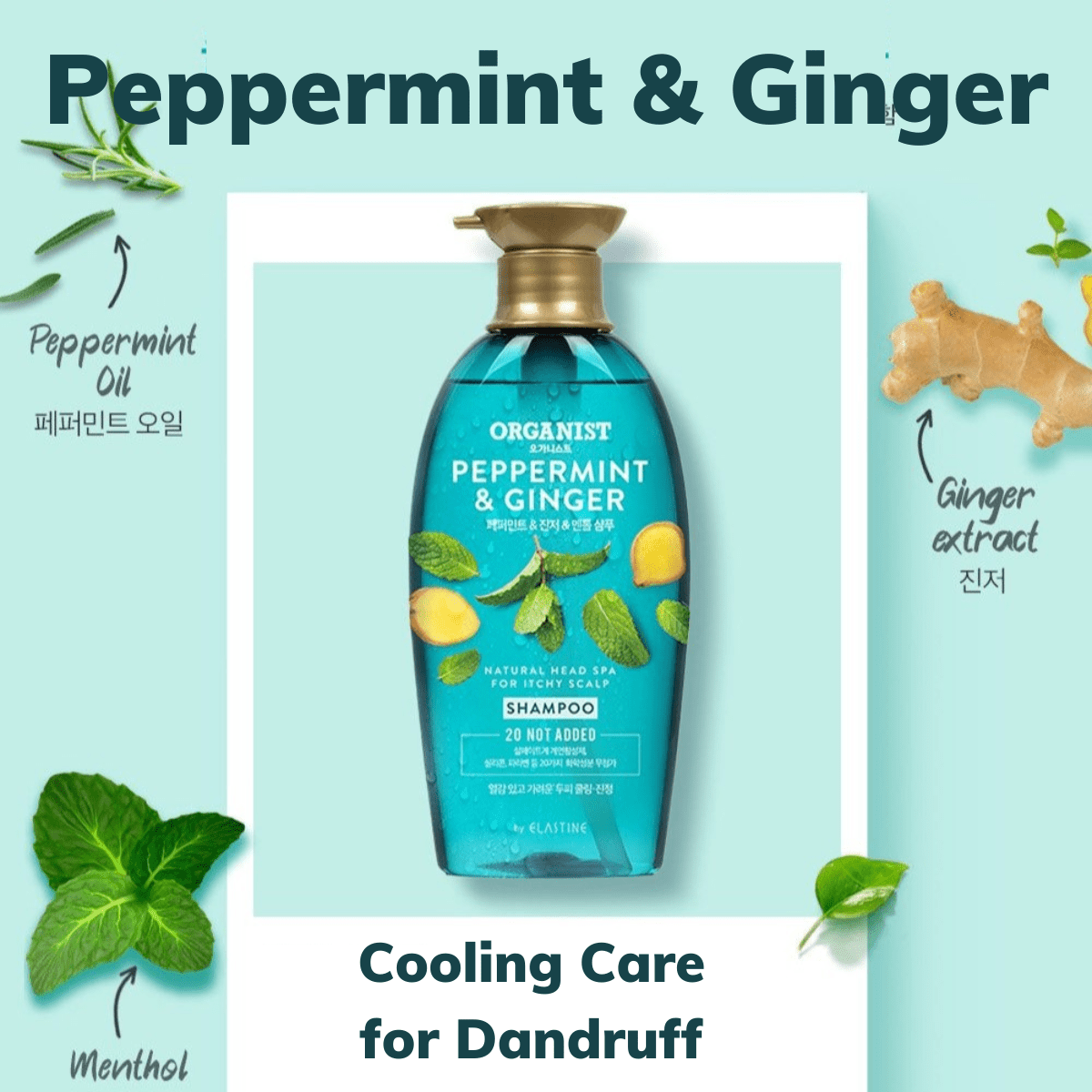 Organist Peppermint and Ginger Cooling Shampoo | hebeloft