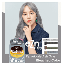 Load image into Gallery viewer, Pamukkale Ash Gray - eZn Pudding Hair Colour | hebeloft
